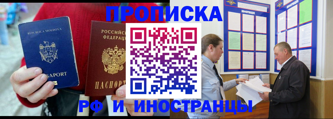 где прописаться в Коле